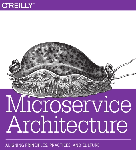 Microservice Architecture 微服务